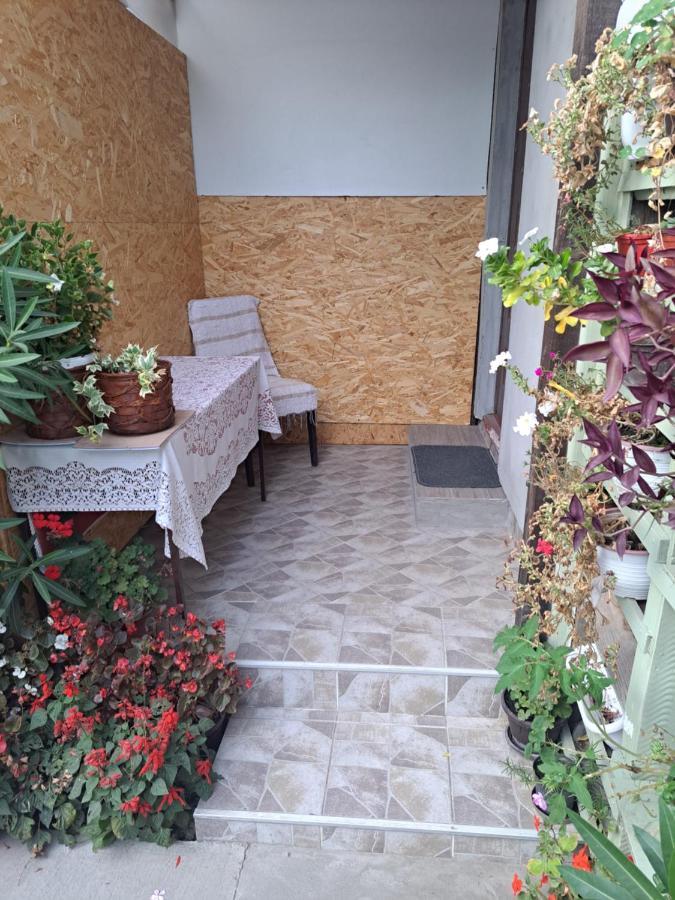 Apartment Capital Town Vk 14 Novi Sad Eksteriør bilde